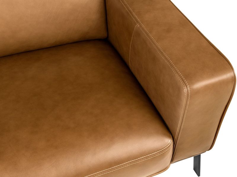 BEA, Designer Ledersessel braune Farben oder schwarz
