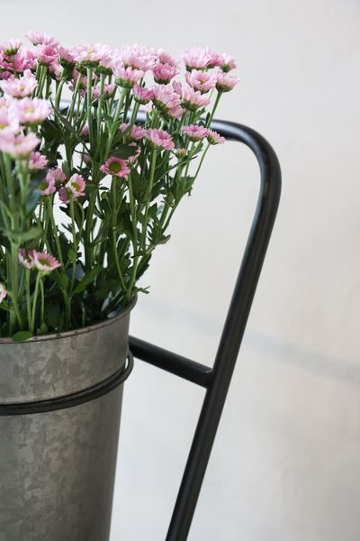 Matz Möbel - Regal SONJA für Blumen 9 Töpfe auf Rädern