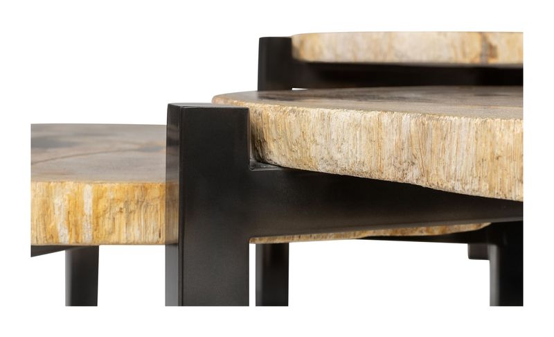 DENA, Designer Couchtisch - Set aus 3 Tischen aus versteinertem Holz