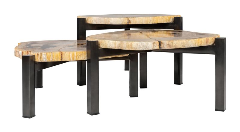 DENA, Designer Couchtisch - Set aus 3 Tischen aus versteinertem Holz