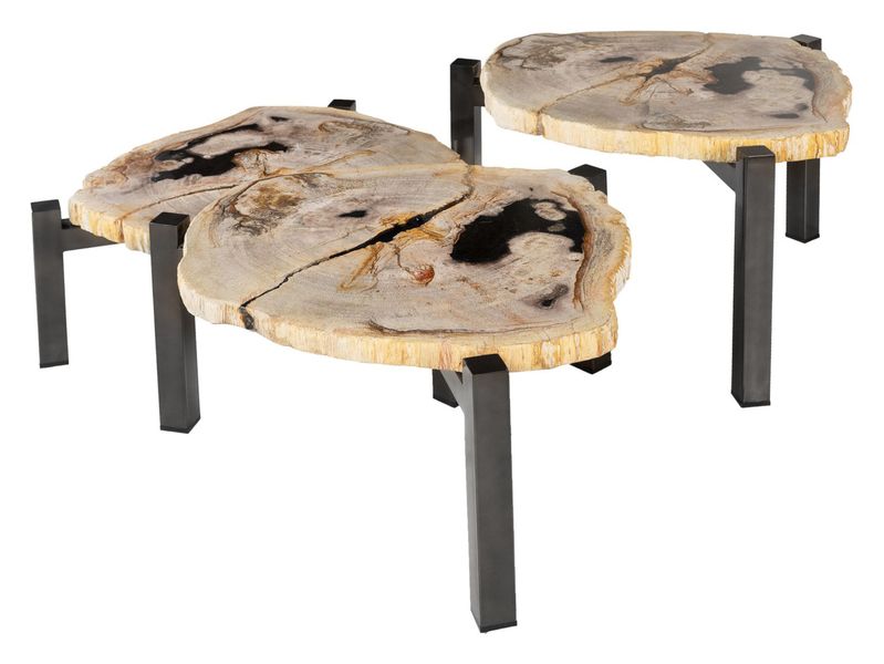 DENA, Designer Couchtisch - Set aus 3 Tischen aus versteinertem Holz