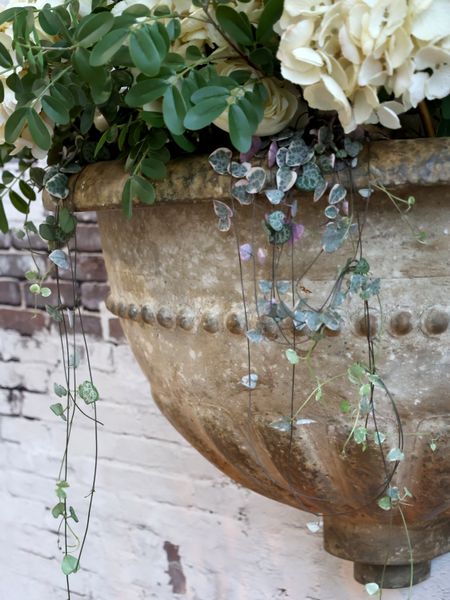 Matz Möbel Pflanztopf KATI Pflanzkübel für die Wand shabby Landhausstil