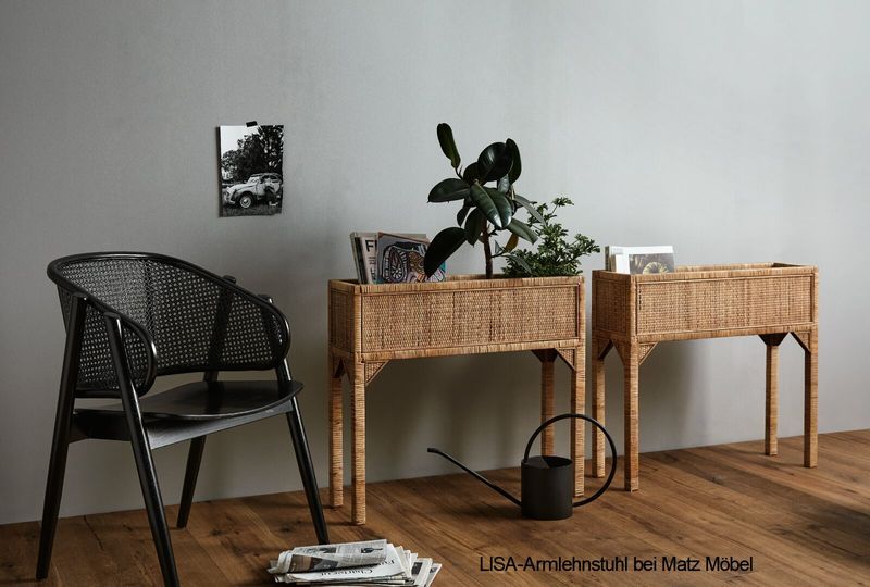 LISA, schwarzer Rattanstuhl mit Armlehnen 2 Stück, Designer Stuhl
