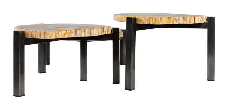 DENA, Designer Couchtisch - Set aus 3 Tischen aus versteinertem Holz