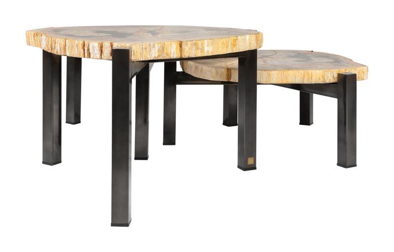 DENA, Designer Couchtisch - Set aus 3 Tischen aus versteinertem Holz
