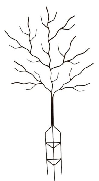 Rankhilfe Eisen Wandbaum H 166 cm